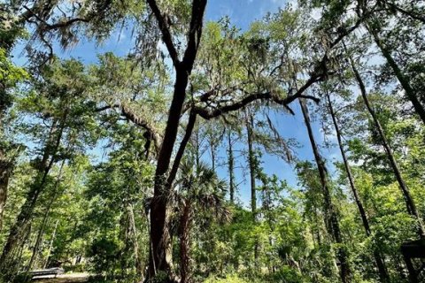 Terrain à vendre à Gainesville, Floride № 1681271 - photo 28