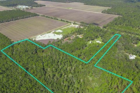 Land in Hastings, Florida № 806973 - photo 1