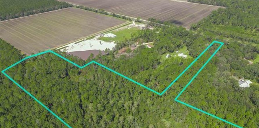 Land in Hastings, Florida № 806973