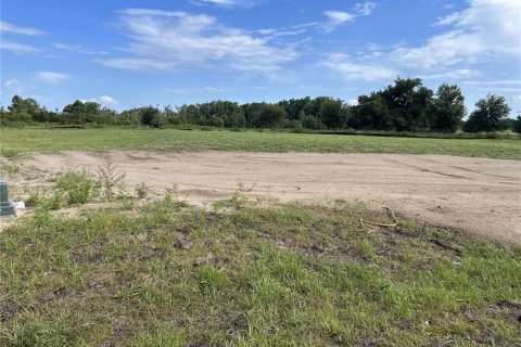 Terreno en venta en Astatula, Florida № 1759332 - foto 2