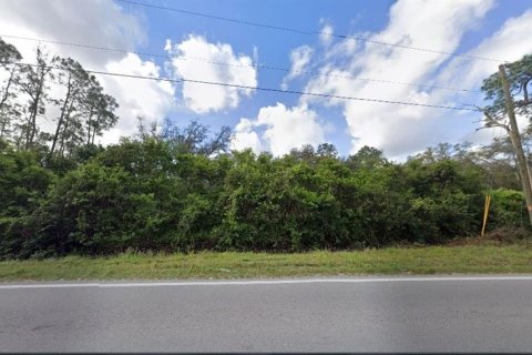 Terreno en venta en Polk City, Florida № 2235027 - foto 2