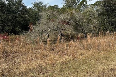 Land in Dunnellon, Florida № 2162628 - photo 5