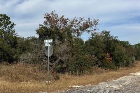 Land in Dunnellon, Florida № 2162628 - photo 2