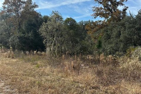 Land in Dunnellon, Florida № 2162628