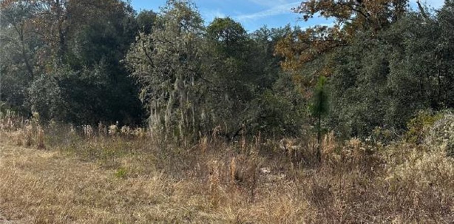 Land in Dunnellon, Florida № 2162628