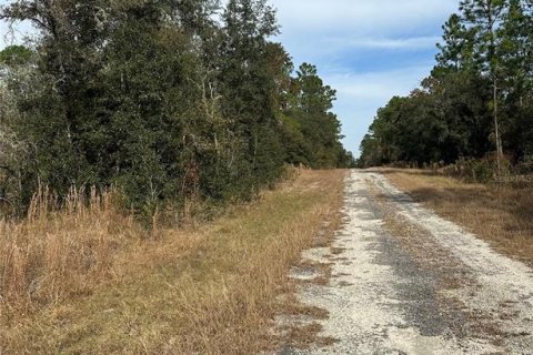 Land in Dunnellon, Florida № 2162628 - photo 6