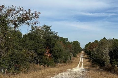 Land in Dunnellon, Florida № 2162628 - photo 3