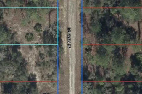 Land in Dunnellon, Florida № 2162628 - photo 7