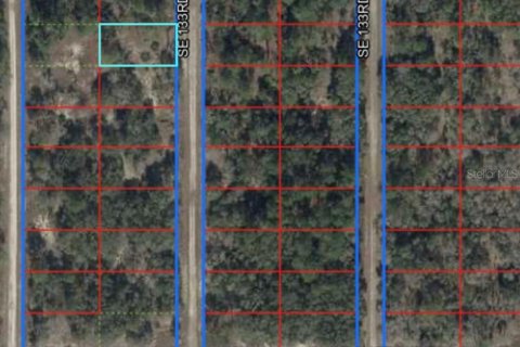 Land in Dunnellon, Florida № 2162628 - photo 8