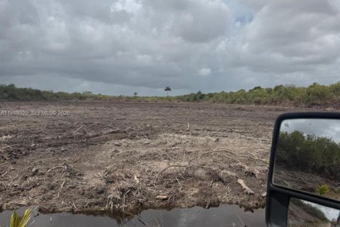 Купить коммерческую недвижимость в Хомстед, Флорида № 2053328 - фото 3