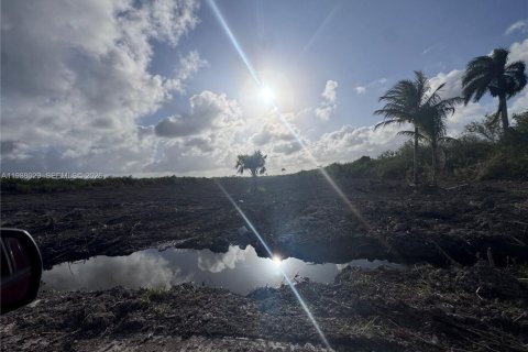 Купить коммерческую недвижимость в Хомстед, Флорида № 2053328 - фото 7