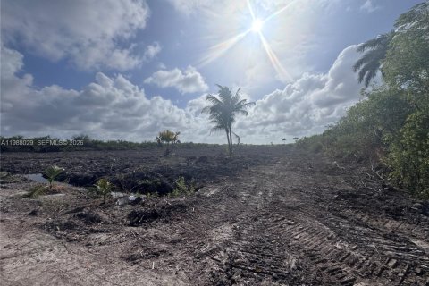 Купить коммерческую недвижимость в Хомстед, Флорида № 2053328 - фото 5