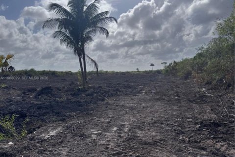 Купить коммерческую недвижимость в Хомстед, Флорида № 2053328 - фото 4