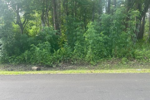 Land in Kissimmee, Florida № 850488 - photo 1