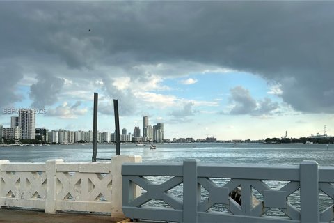 Copropriété à louer à Miami Beach, Floride: 1 chambre, 42.92 m2 № 2174389 - photo 14