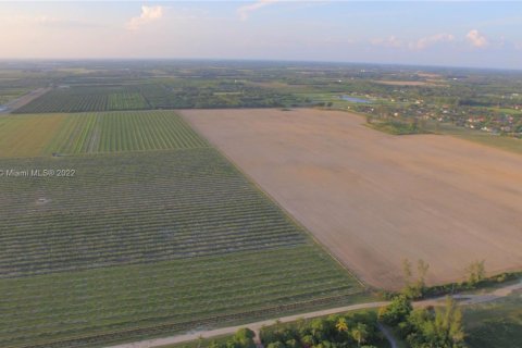 Купить коммерческую недвижимость в Хомстед, Флорида № 1985544 - фото 4
