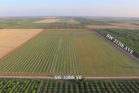 Купить коммерческую недвижимость в Хомстед, Флорида № 1985544 - фото 8