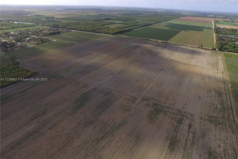 Купить коммерческую недвижимость в Хомстед, Флорида № 1985544 - фото 10