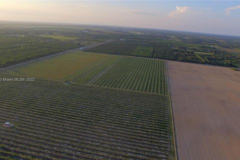 Купить коммерческую недвижимость в Хомстед, Флорида № 1985544 - фото 3