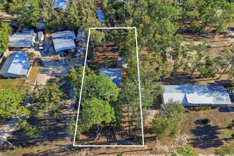 House in Steinhatchee, Florida 2 bedrooms, 149.76 sq.m. № 2166363 - photo 24