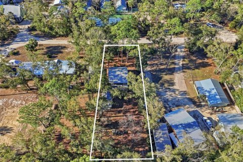 House in Steinhatchee, Florida 2 bedrooms, 149.76 sq.m. № 2166363 - photo 28
