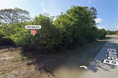 Land in Port Charlotte, Florida № 2159121 - photo 3