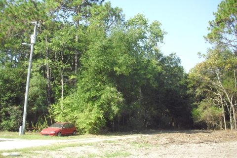 Land in Ocala, Florida № 2162567 - photo 23