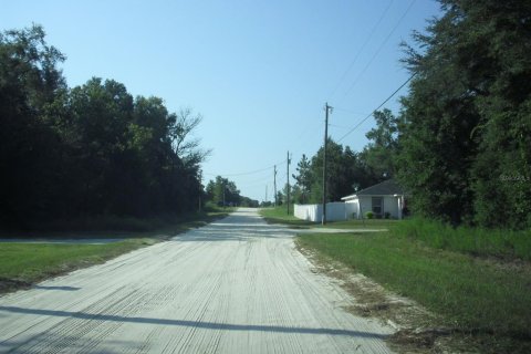 Land in Ocala, Florida № 2162567 - photo 13