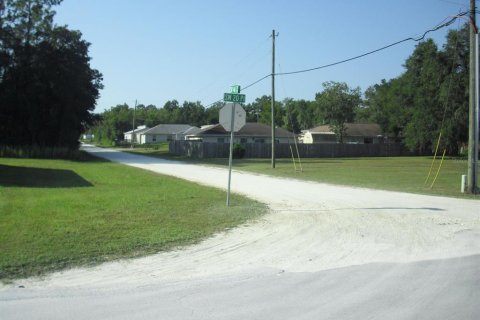 Land in Ocala, Florida № 2162567 - photo 11