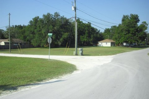 Land in Ocala, Florida № 2162567 - photo 9
