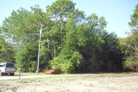 Land in Ocala, Florida № 2162567