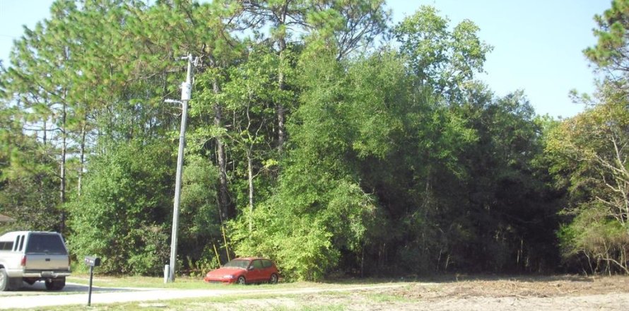 Land in Ocala, Florida № 2162567