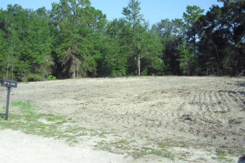 Land in Ocala, Florida № 2162567 - photo 20
