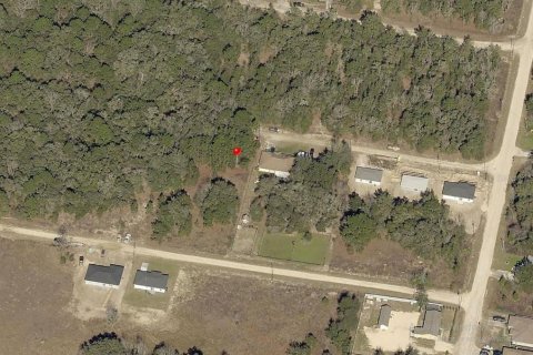 Land in Ocala, Florida № 2162567 - photo 28