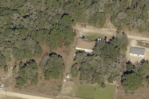 Land in Ocala, Florida № 2162567 - photo 29