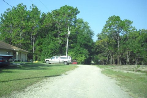 Land in Ocala, Florida № 2162567 - photo 17