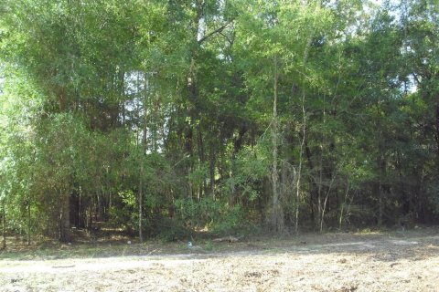 Land in Ocala, Florida № 2162567 - photo 24