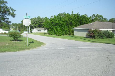 Land in Ocala, Florida № 2162567 - photo 8