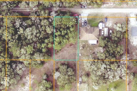 Land in Ocala, Florida № 2162567 - photo 27