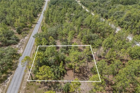 Terrain à Dunnellon, Floride № 2165768