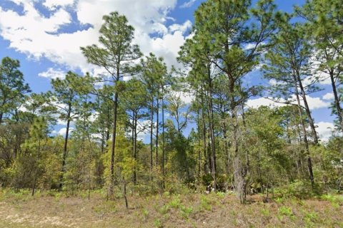 Land in Citrus Springs, Florida № 2294473