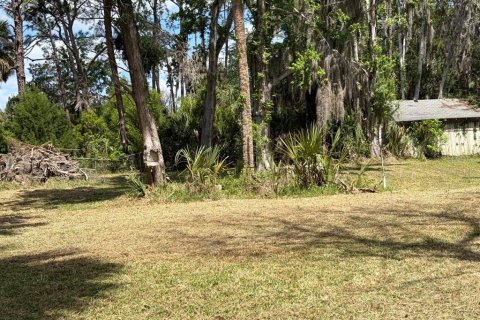 Land in Yankeetown, Florida № 2165792 - photo 2