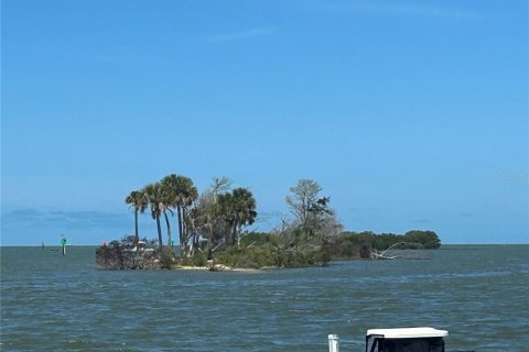 Land in Yankeetown, Florida № 2165792 - photo 15