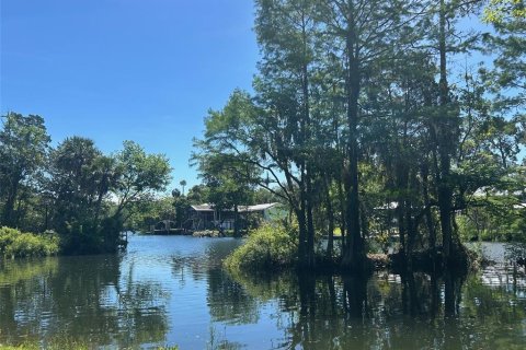Land in Yankeetown, Florida № 2165792 - photo 7