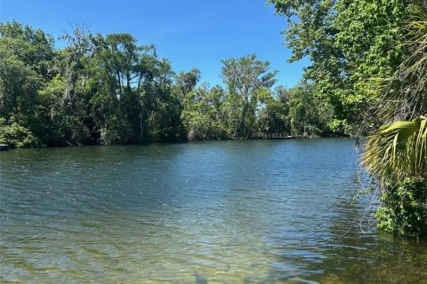 Land in Yankeetown, Florida № 2165792 - photo 10