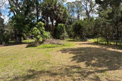 Land in Yankeetown, Florida № 2165792 - photo 3