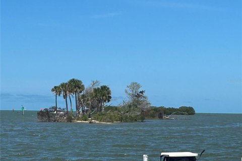Land in Yankeetown, Florida № 2165792 - photo 11