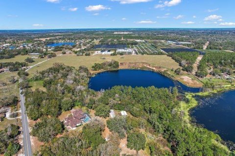 Land in Mount Dora, Florida № 349008 - photo 8