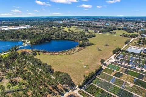 Land in Mount Dora, Florida № 349008 - photo 3