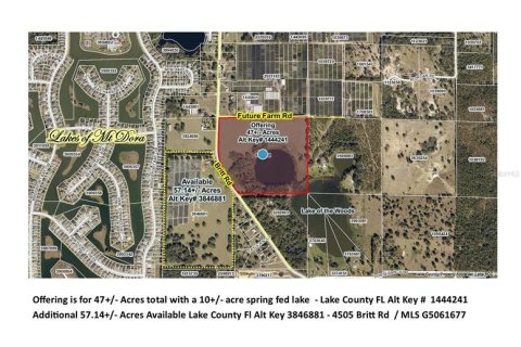 Land in Mount Dora, Florida № 349008 - photo 1